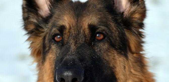 Jak okazałem się złym panem