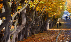 Jak zamarzyła mi się odrobina luksusu