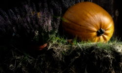 Jak robiliśmy tradycyjne halloween