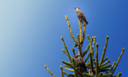O tym, jak delektowałem się urlopową ciszą.